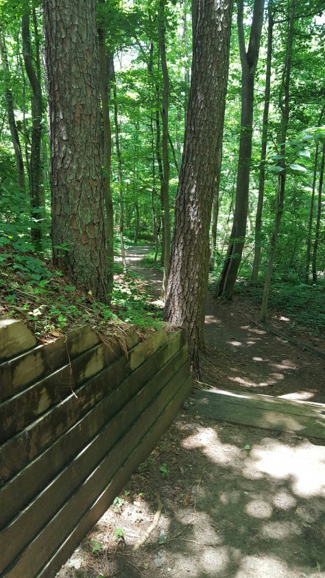 Hahn Woods path